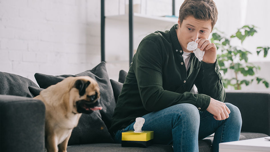 Getting an air purifier is one of the top approaches to boost your home’s indoor air quality. Discover more about the three best solutions. 